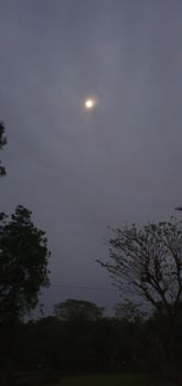 sky view mid day evening and night photo