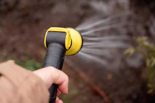 Gardener watering the garden with a hose, close-up photo