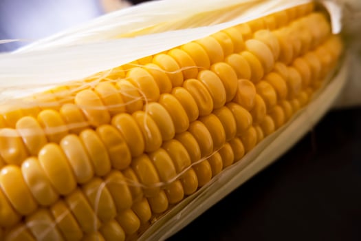 macro shot of raw maize corns and leaves photo