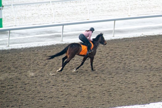Race horse with jockeys on the home straight. Shaving effect. photo