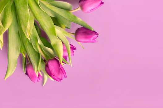 Bouquet of beautiful tulips on wooden background. Tulips on old boards photo