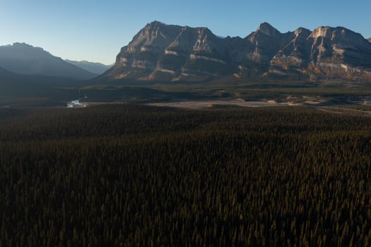 Aerial view of Mistaya Canyon, Rocky Mountains, Canada. photo