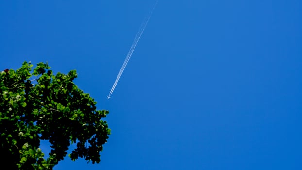 A Plane's Trail Over Green Tree photo