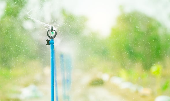 Automatic sprinkler watering green plant garden. Sustainable agriculture. Sprinkler for agriculture. Garden irrigation system. Sprinkler maintenance services. Water splashing. System for plant care. photo