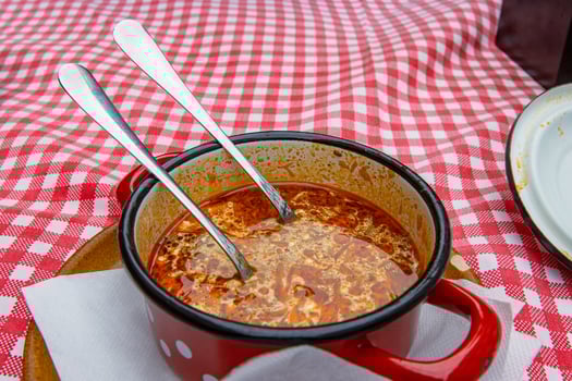 Traditional Slovak Ukrainian Russian cabbage soup with sausage and smoked meat served in retro red metal pot with two spoons. Bowl of delicious Soljanka borsch with white sour cream. Top view photo