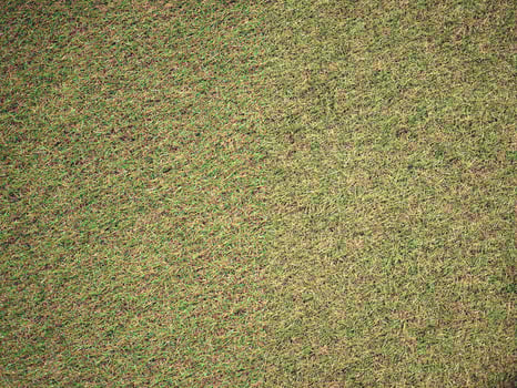 industrial style green plastic artificial grass texture backgrou photo