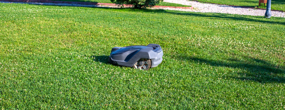 Lawn robot mows the lawn. Robotic Lawn Mower cutting grass photo