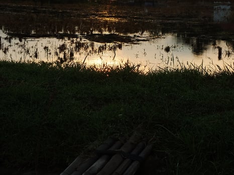 relaxing and calming scenery of an old bamboo bridge crossing an irrigation chanel to rice field with golden yellow light from the sun rise photo