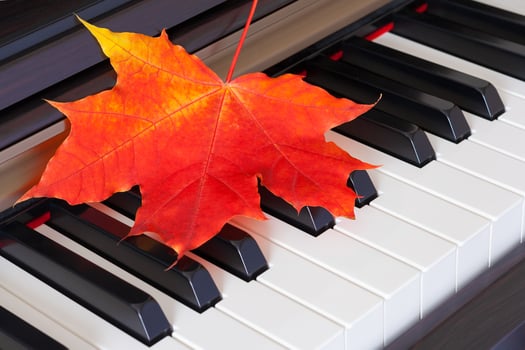 Close up view of autumn red leaf on piano keys photo