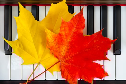 Close up view of autumn leaves on piano keys photo
