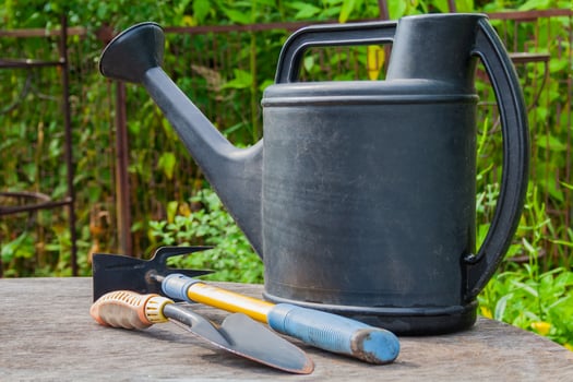 garden tools watering can, scoop, thread photo