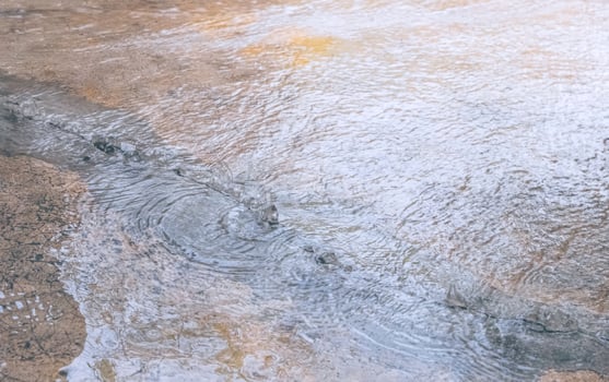 Water beneath the floor surged up through cracks of damaged concrete floor, directly above view photo