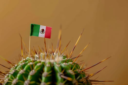 Mexican flag on cactus photo