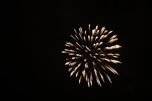 Color Firework in the night sky photo