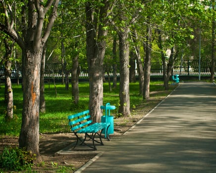 Spring park early in the morning photo