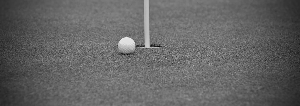 Game in the golf club against the background of the green juicy grass photo