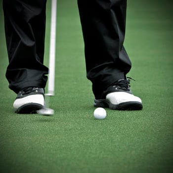Game in the golf club against the background of the green juicy grass photo