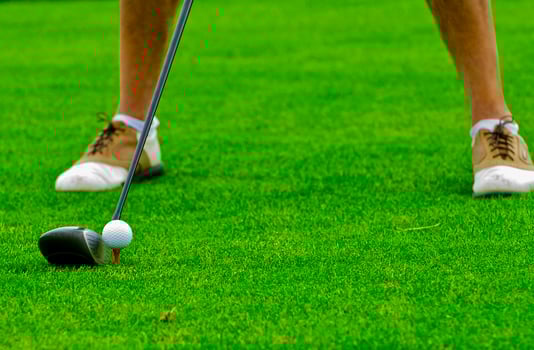 Game in the golf club against the background of the green juicy grass photo
