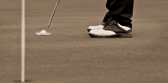 Game in the golf club against the background of the green juicy grass photo