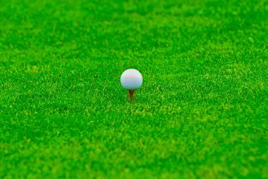 Game in the golf club against the background of the green juicy grass photo