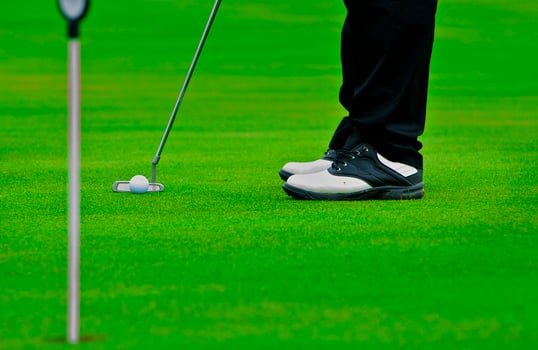 Game in the golf club against the background of the green juicy grass photo
