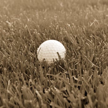 Game in the golf club against the background of the green juicy grass photo