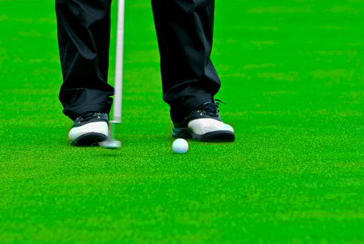 Game in the golf club against the background of the green juicy grass photo