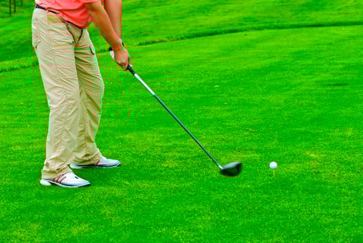 Game in the golf club against the background of the green juicy grass photo