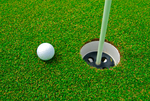 Game in the golf club against the background of the green juicy grass photo