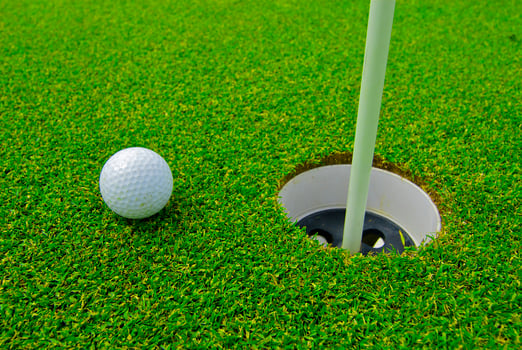Game in the golf club against the background of the green juicy grass photo