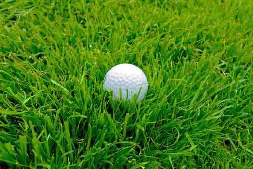 Game in the golf club against the background of the green juicy grass photo