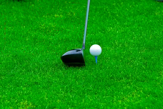 Game in the golf club against the background of the green juicy grass photo