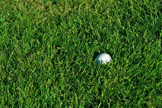 Morning Landscape at a Golf Club photo