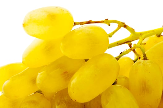 Ripe green grape on a white background photo