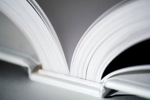 Mockup of the book photo