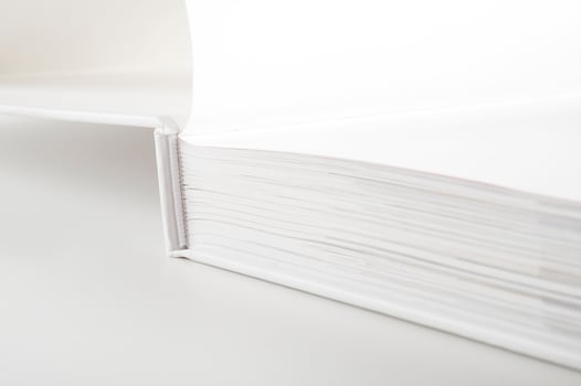 Mockup of the book photo