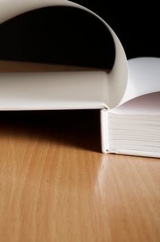 Mockup of the book photo