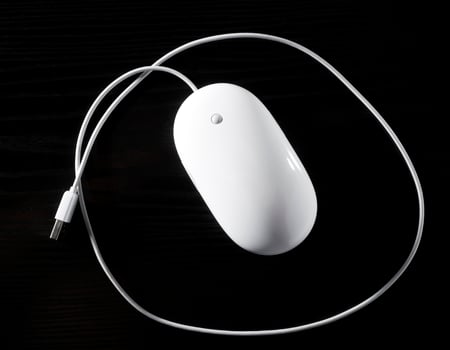 The white mouse for the computer photo