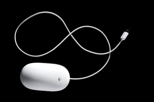 The white mouse for the computer photo