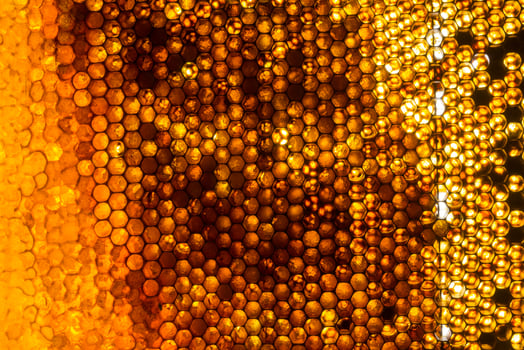 Studio Close-up of Honeycomb photo