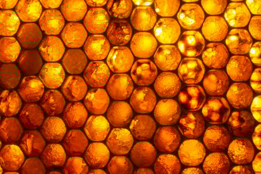 Studio Close-up of Honeycomb photo