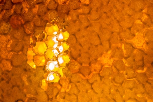 Studio Close-up of Honeycomb photo