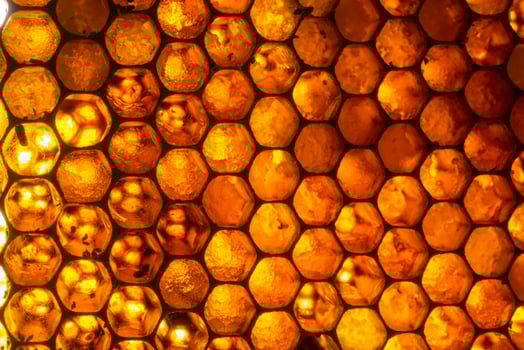 Studio Close-up of Honeycomb photo