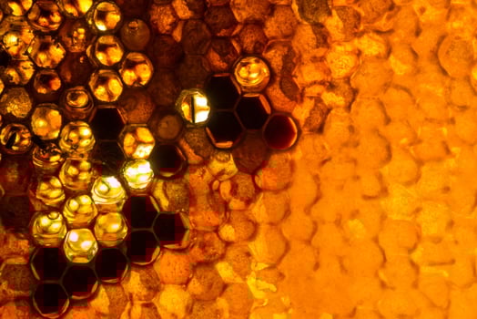 Studio Close-up of Honeycomb photo
