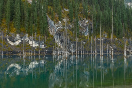 Kaindy lake in Tien-Shan mountains, Kazakhstan photo