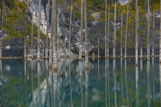 Kaindy lake in Tien-Shan mountains, Kazakhstan photo