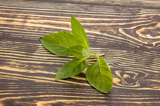 Raw green basil leaves seasoning photo