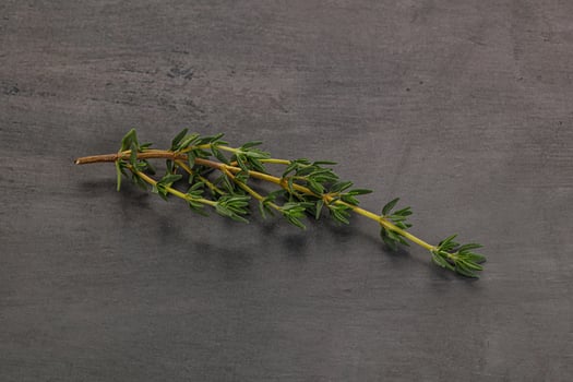 Aroma seasoning thyme stem with leaves photo