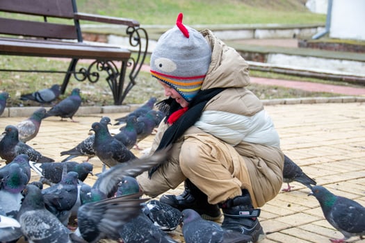 Cute little boy in green rubber boots is feeding pigeons from the bench. Image with toning and selective focus photo