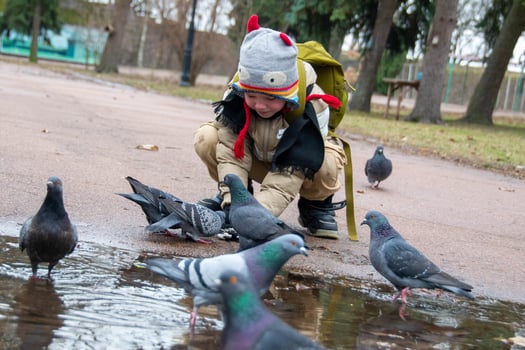 Cute little boy in green rubber boots is feeding pigeons from the bench. Image with toning and selective focus photo